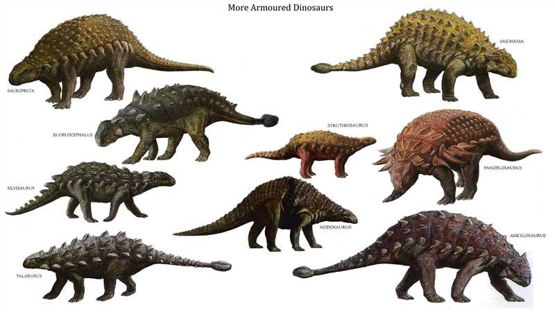 Анкилозавры, или панцирные динозавры (Ankylosauria)
