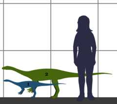 Теории об исчезновении анхизавров