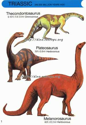 Анхизавр пифферхорни (Anchisaurus polyzelus)