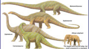 Апатозавр (Apatosaurus) — история, особенности и значимость