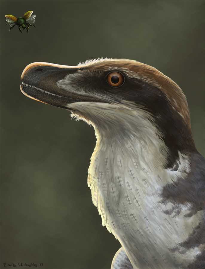 Археораптор (Archaeoraptor)