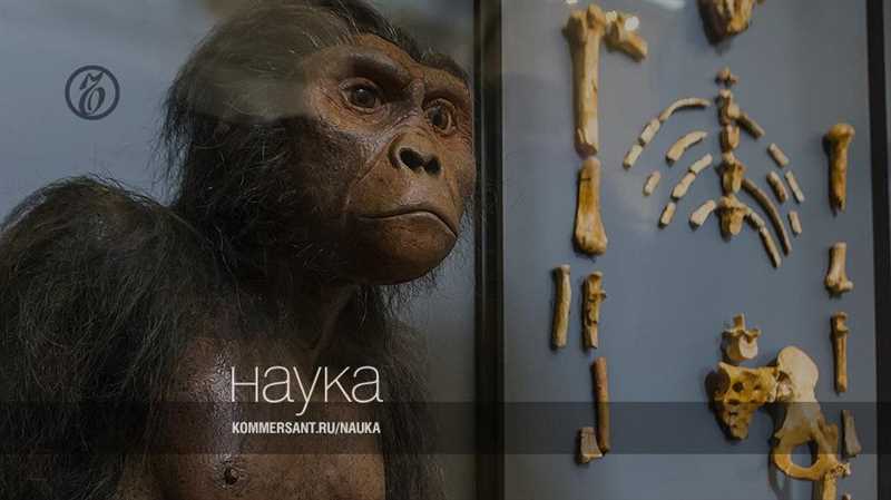 Австралопитеки (Australopithecus)