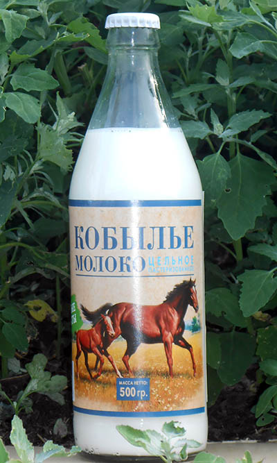 Есть ли у лошади вымя, конское молоко название