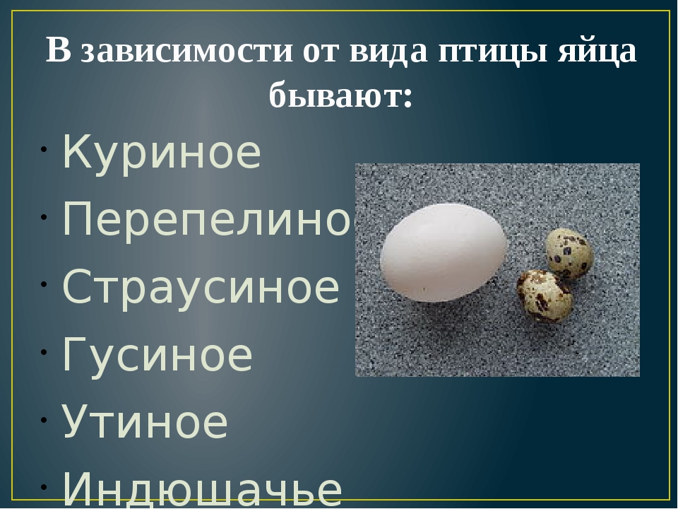 Цвет желтка и скорлупы куриных яиц от чего зависит?
