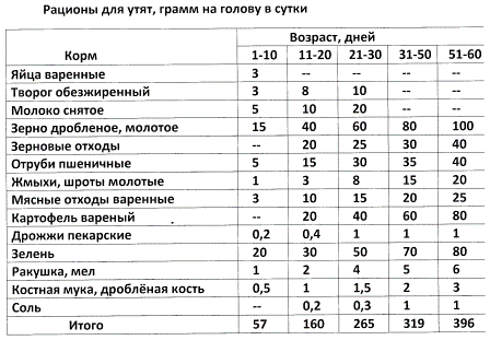 ✅ о кормлении гусей в домашних условиях: виды кормов, какую траву можно давать - tehnomir32.ru