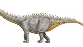 Барапазавр (Barapasaurus) — великан ездовых динозавров