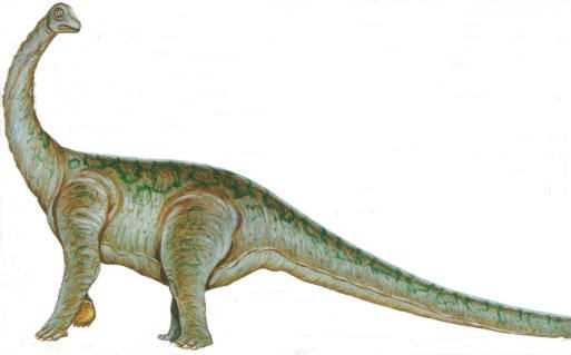 Барапазавр (Barapasaurus)