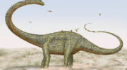 Барозавр (Barosaurus) — описание, характеристики, особенности