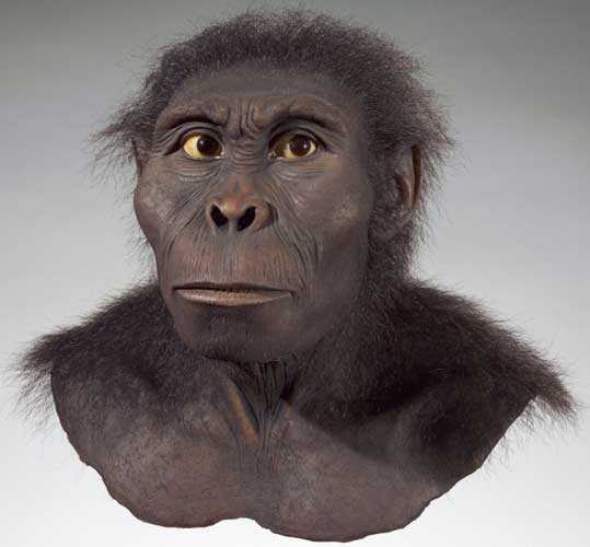 Бахр-эль-газальский австралопитек (Australopithecus bahrelghazali)