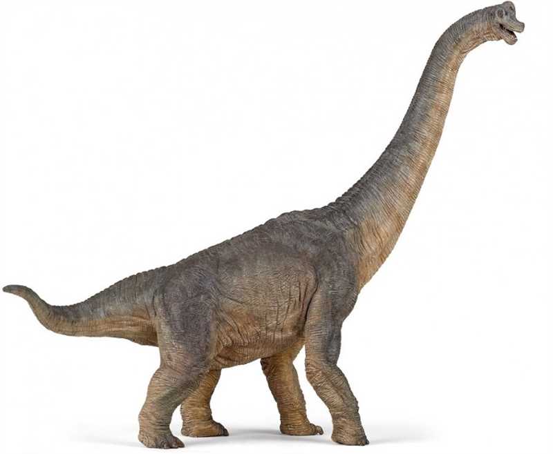 Брахиоза́вр (Brachiosaurus)