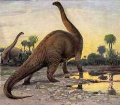 1. Бронтозавр