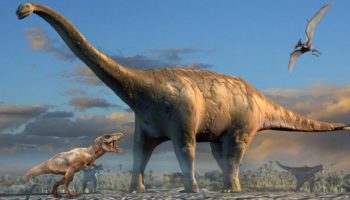 Брухаткайозавр (Bruhathkayosaurus) — гигантская динозавр-мечта палеонтологов