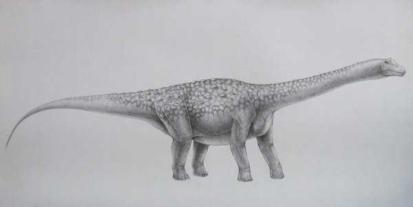 Брухаткайозавр (Bruhathkayosaurus)