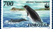 Бутылконосы — киты или дельфины?