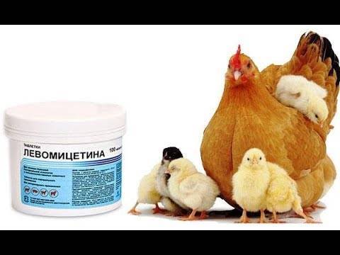 Ветеринарная аптечка для цыплят бройлеров