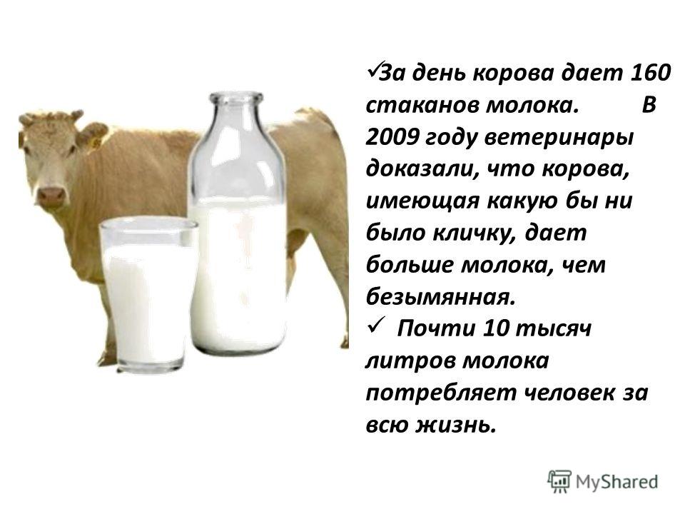 Яловая корова: что это значит, почему буренка может не давать телят, как раздоить самку и получить молоко — причины и лечения бесплодия — moloko-chr.ru