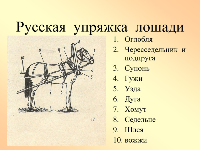 Телега для лошади своими руками: как правильно запрягать, русская упряжь, конная карета