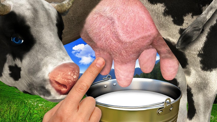 Есть ли лактоза в козьем молоке или нет, что еще в нем содержится, можно ли его пить людям с недостаточностью молочного сахара, в чем отличия от коровьего?