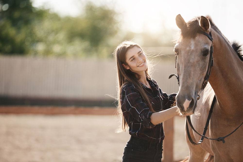 3 бесценных урока в конном спорте. чему нас могут научить лошади?