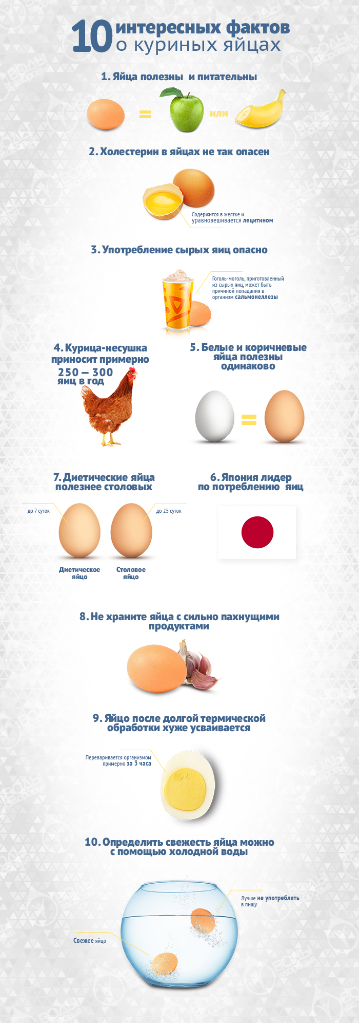 От чего зависит цвет скорлупы куриного яйца?