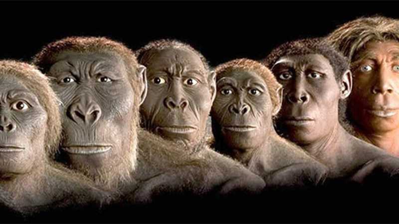 Первые археологические открытия Homo bodoensis