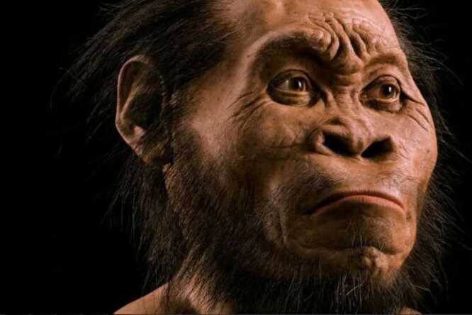 Доказательства о жизни Homo erectus