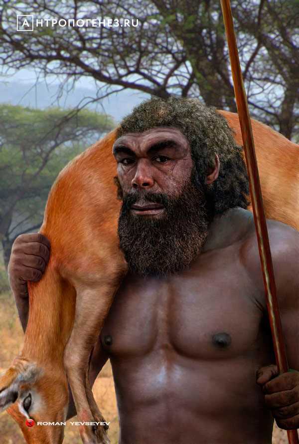 Человек родезийский и его место в эволюции человека