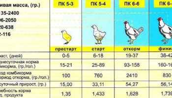 Чем кормить бройлеров после месяца