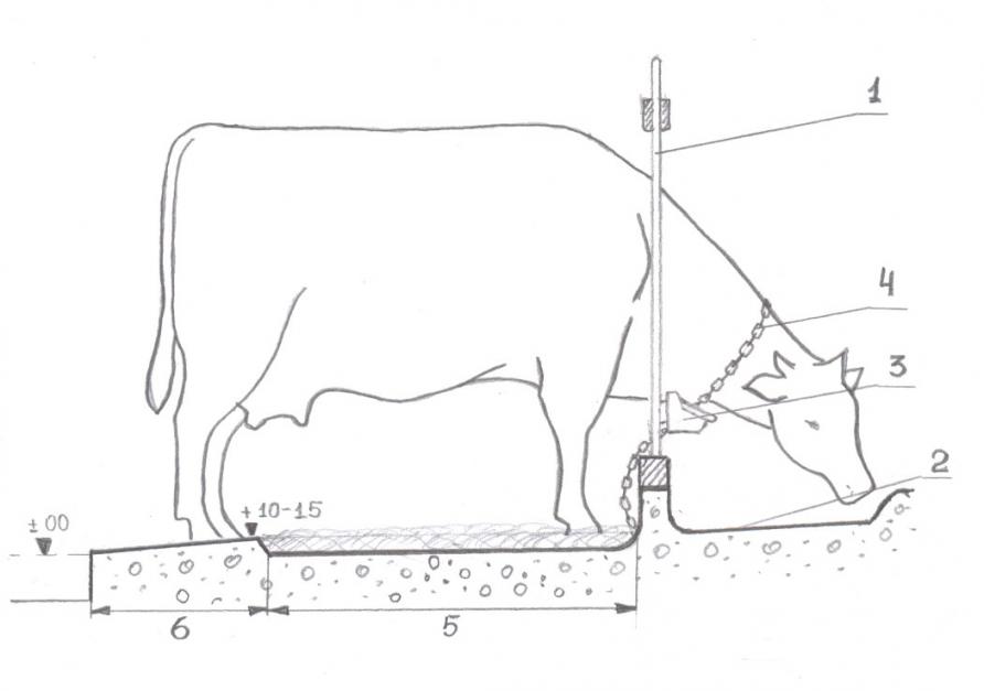 Поилки для крс (коров) своими руками: пошаговая инструкция, фото, видео