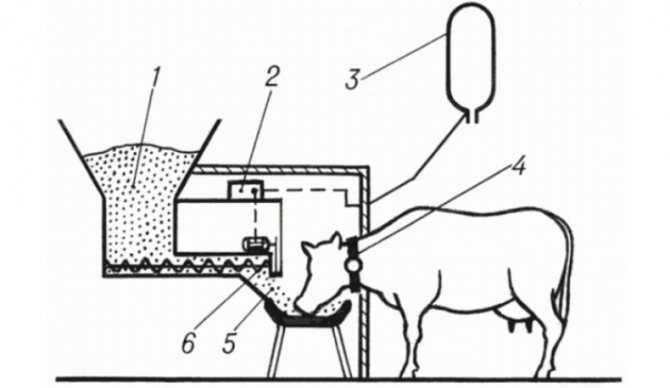 О поилках для крупного рогатого скота (крс) своими руками: пошаговая инструкция