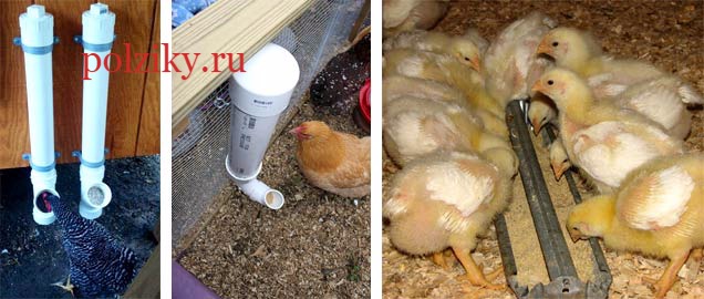 Поилка для цыплят своими руками из пластиковой бутылки, самодельная ниппельная поилка, видео