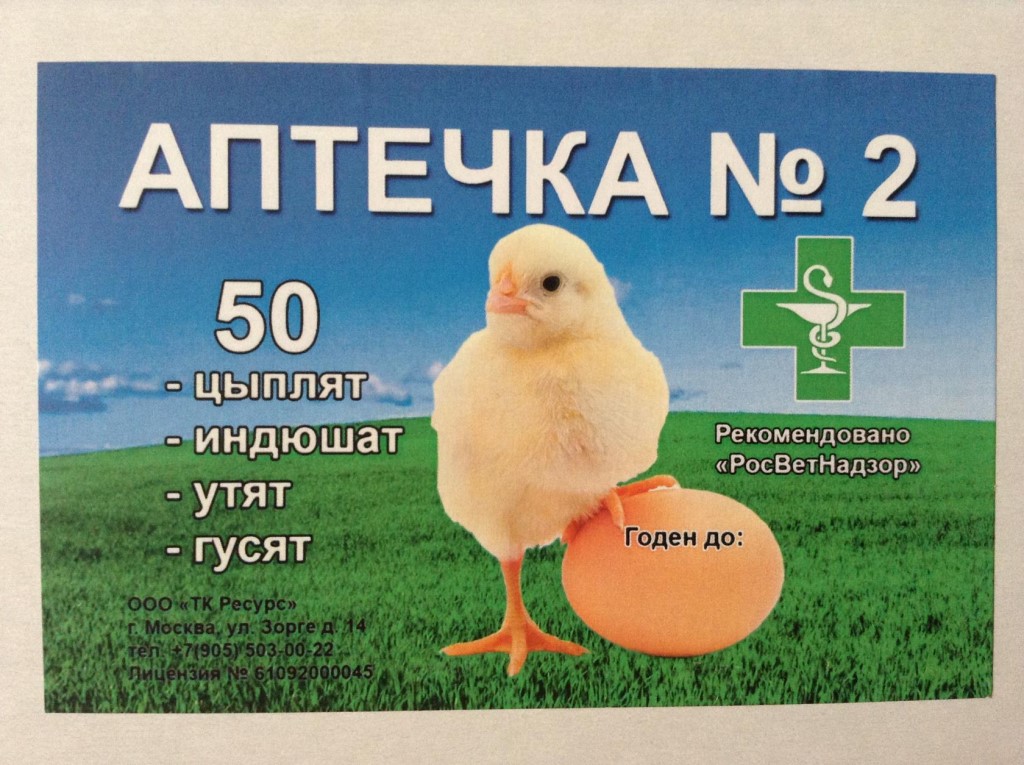 Чем пропоить цыплят: обзор витаминов и антибиотиков