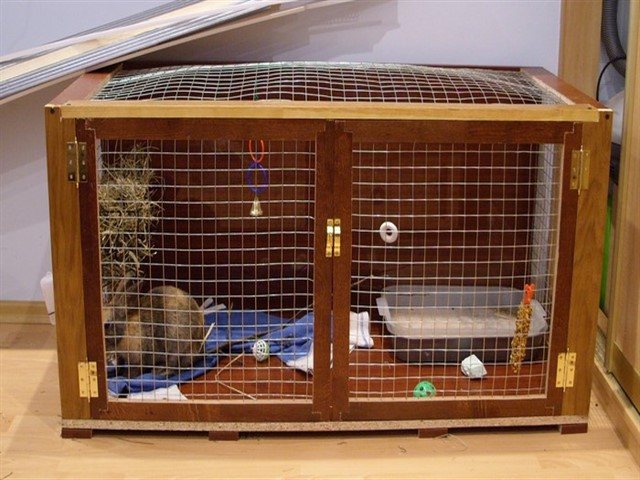Клетка для декоративного кролика своими руками. пошаговая инструкция и схема изготовления правильного кроличьего места в домашних условиях