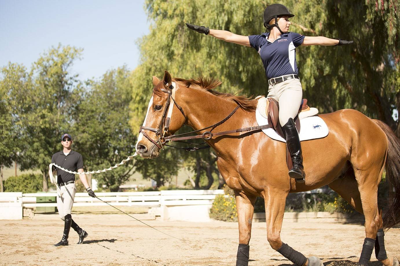 3 бесценных урока в конном спорте. чему нас могут научить лошади?