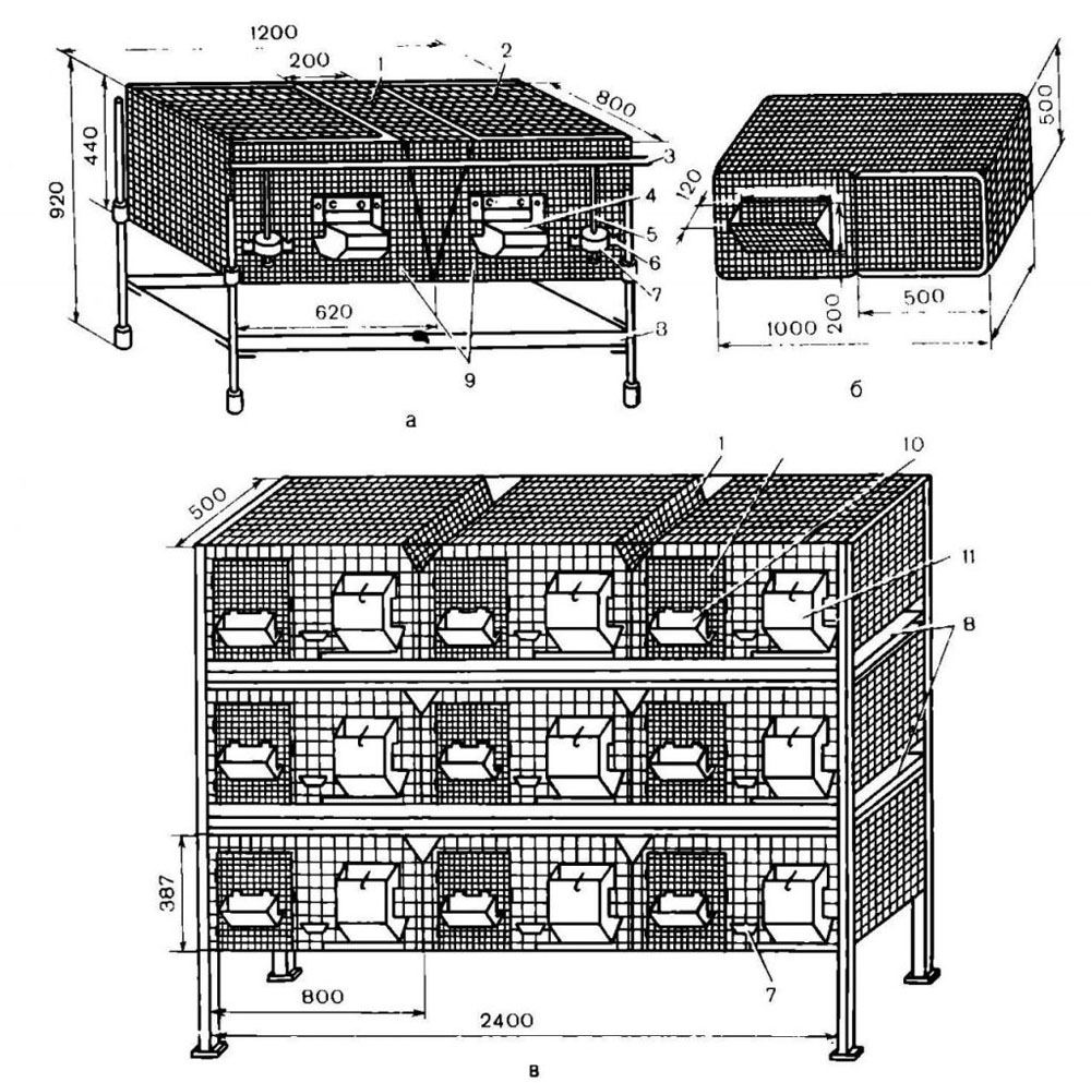 Клетки для кроликов уличного содержания размеры чертежи фото