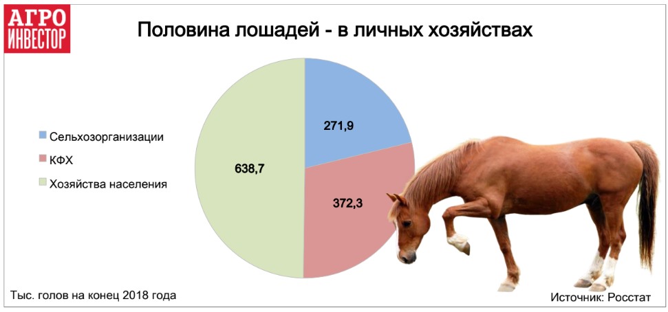 Средний срок жизни диких и домашних лошадей