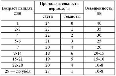 Температура для бройлеров (таблица)