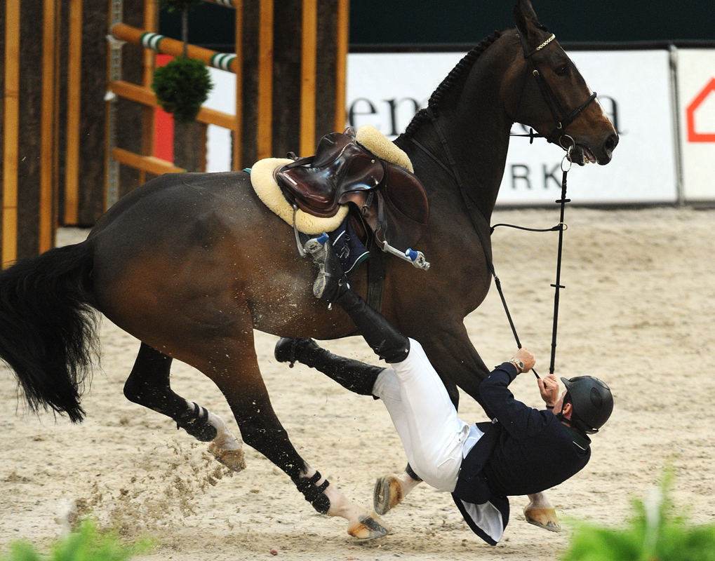 Лошадь на дыбах — почему лошадь ведет себя агрессивно?