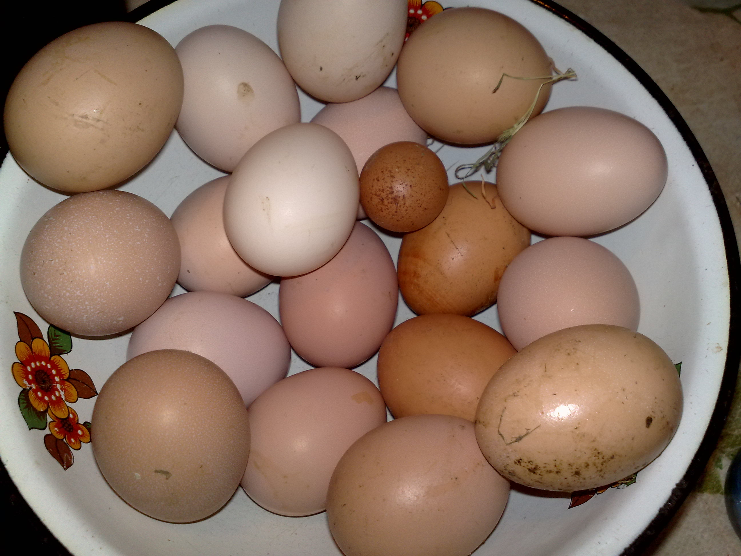 Почему куры несут мелкие яйца? причины и методы решеия