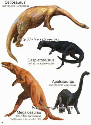 Список тероподных динозавров