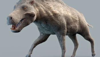 Деодон, или динохиус (Daeodon, Dinohyus) — гигантский вымерший млекопитающее
