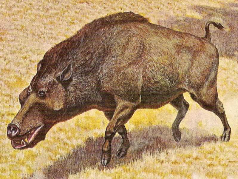 Деодон, или динохиус (Daeodon, Dinohyus)