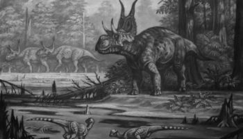 Диаблоцератопс — описание и особенности динозавра