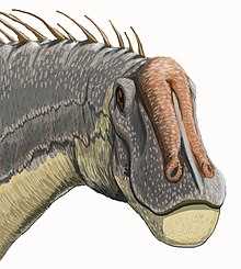 Дикреозавр (Dicraeosaurus)