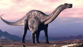 Дикреозавр — описание, особенности и история обнаружения