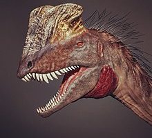 Дилофозавр (Dilophosaurus) — описание, характеристики и история открытия
