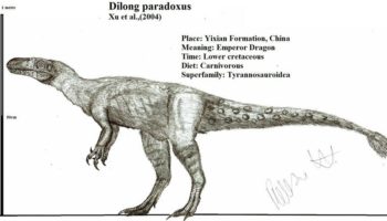 Дилун (Dilong) — древний динозавр, предтеча тираннозавра?