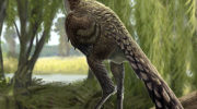 Динозавр Мэй (Mei) — удивительное открытие в мире палеонтологии
