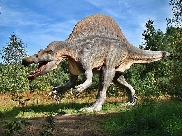 Мегалозавр - первое грандиозное открытие