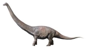 Дредноут (Dreadnoughtus) — гигантская динозаврическая находка